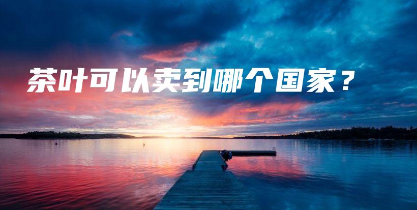 茶葉可以賣到哪個國家？插圖
