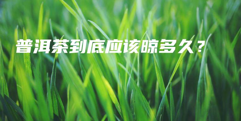 普洱茶到底應(yīng)該晾多久？插圖