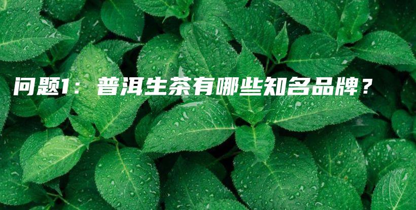 問(wèn)題1：普洱生茶有哪些知名品牌？插圖
