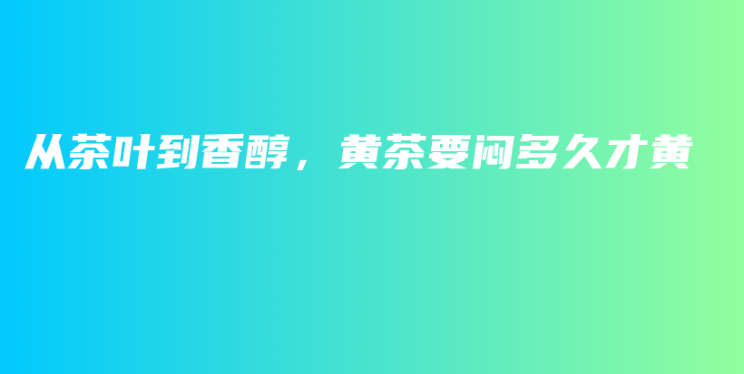 從茶葉到香醇，黃茶要悶多久才黃插圖