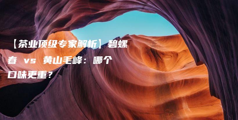 【茶業(yè)頂級專家解析】碧螺春 vs 黃山毛峰：哪個口味更重？插圖