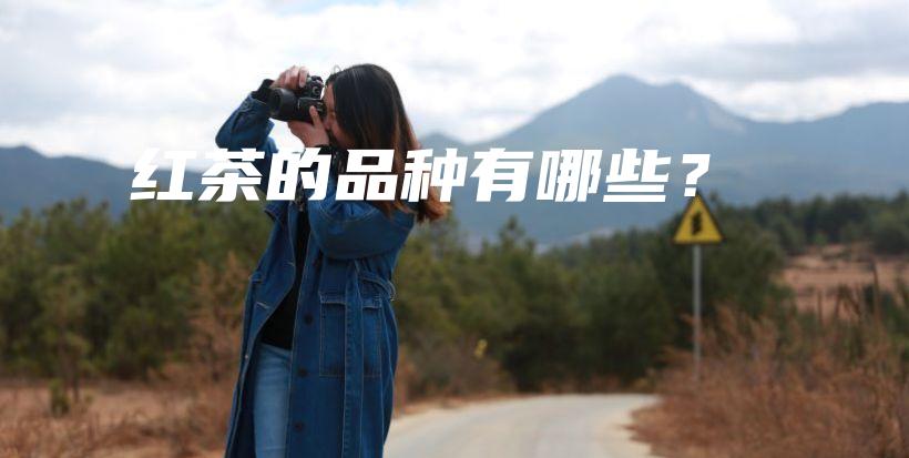 紅茶的品種有哪些？插圖