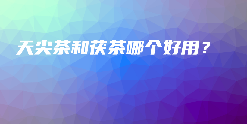 天尖茶和茯茶哪個好用？插圖