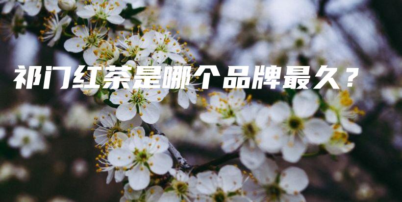 祁門紅茶是哪個(gè)品牌最久？插圖