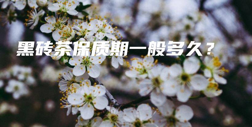 黑磚茶保質(zhì)期一般多久？插圖