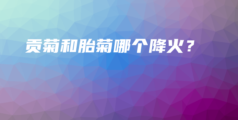 貢菊和胎菊哪個(gè)降火？插圖