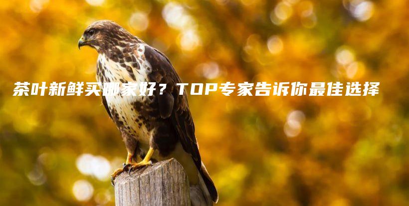 茶葉新鮮買哪家好？TOP專家告訴你最佳選擇插圖