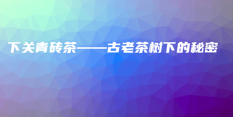下關(guān)青磚茶——古老茶樹下的秘密插圖