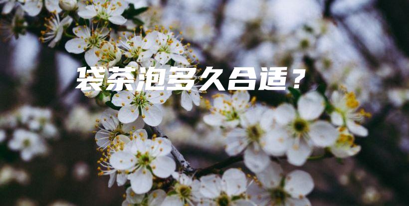 袋茶泡多久合適？插圖