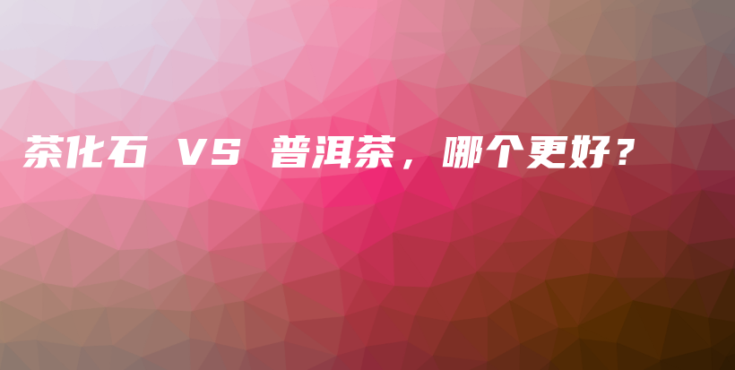 茶化石 VS 普洱茶，哪個更好？插圖