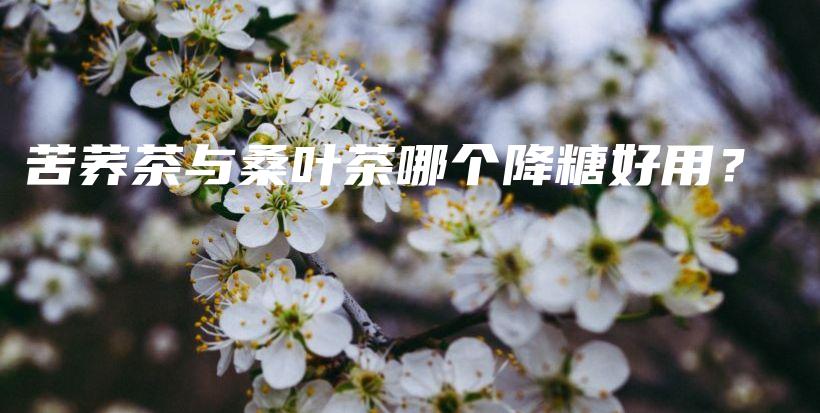 苦蕎茶與桑葉茶哪個降糖好用？插圖