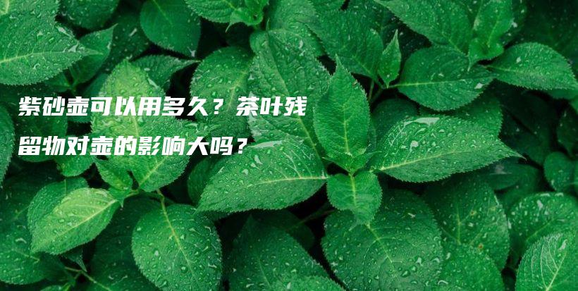 紫砂壺可以用多久？茶葉殘留物對壺的影響大嗎？插圖