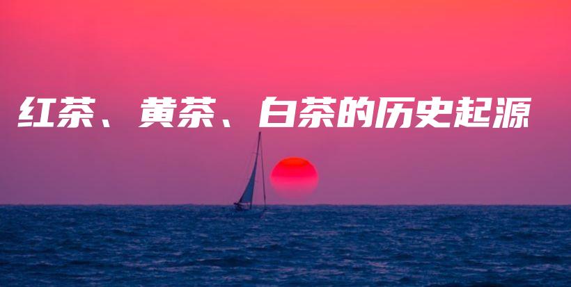 紅茶、黃茶、白茶的歷史起源插圖