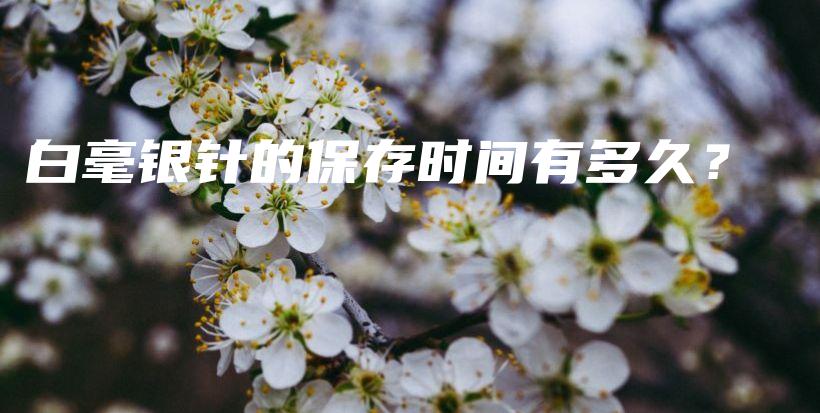 白毫銀針的保存時(shí)間有多久？插圖
