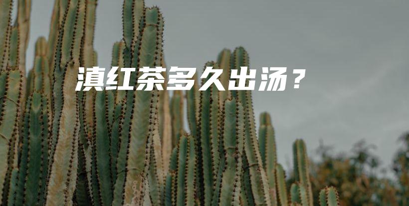 滇紅茶多久出湯？插圖