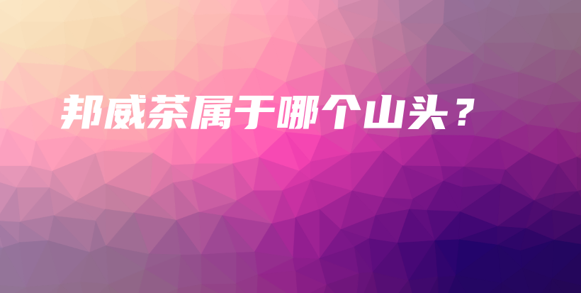邦威茶屬于哪個(gè)山頭？插圖