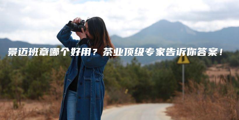 景邁班章哪個好用？茶業(yè)頂級專家告訴你答案！插圖
