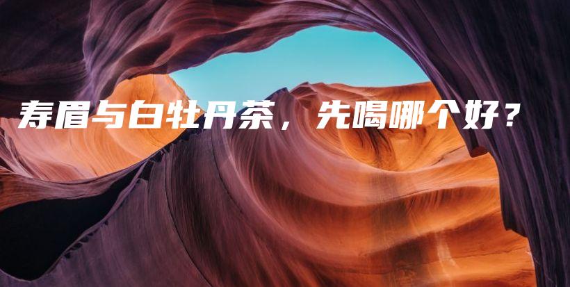 壽眉與白牡丹茶，先喝哪個(gè)好？插圖