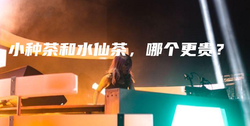 小種茶和水仙茶，哪個更貴？插圖
