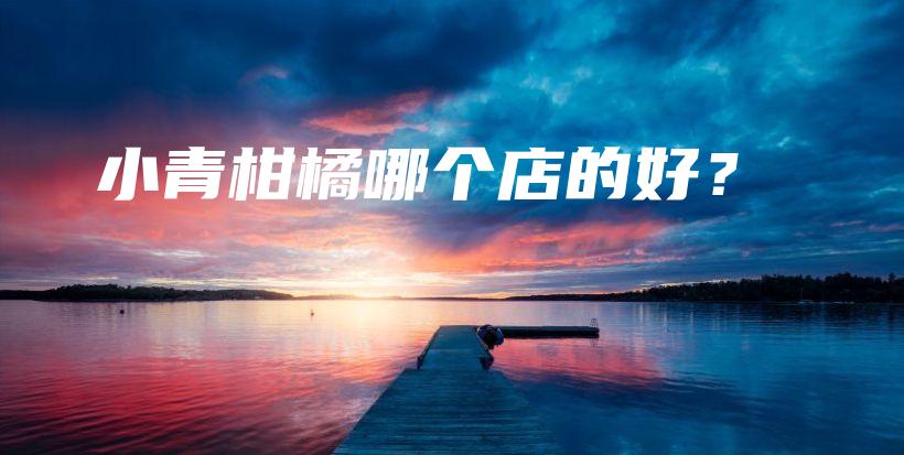 小青柑橘哪個店的好？插圖