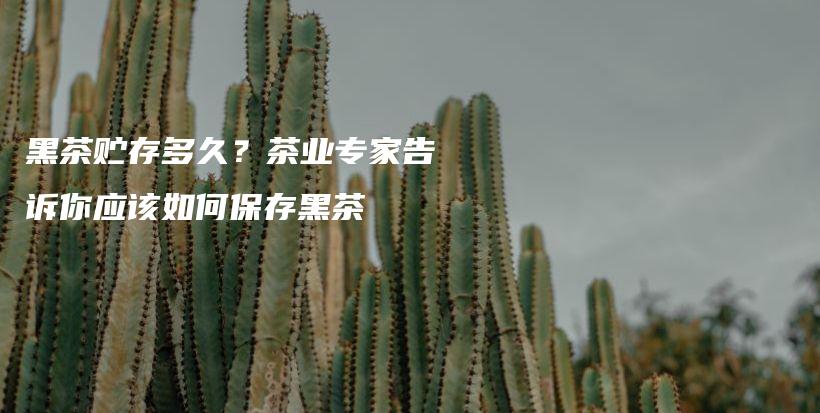 黑茶貯存多久？茶業(yè)專家告訴你應該如何保存黑茶插圖