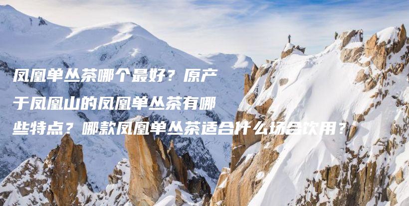 鳳凰單叢茶哪個最好？原產(chǎn)于鳳凰山的鳳凰單叢茶有哪些特點(diǎn)？哪款鳳凰單叢茶適合什么場合飲用？插圖