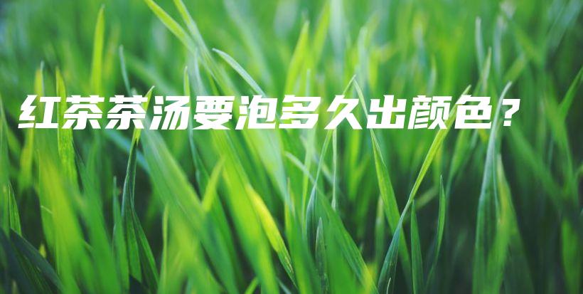 紅茶茶湯要泡多久出顏色？插圖