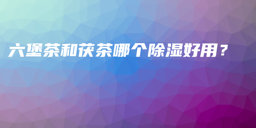 六堡茶和茯茶哪個(gè)除濕好用？插圖