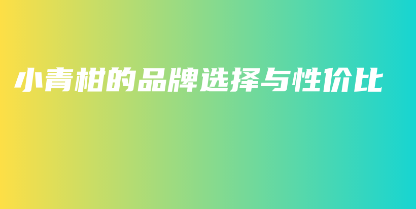 小青柑的品牌選擇與性價比插圖