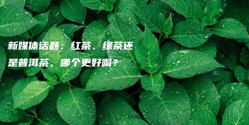 新媒體話題：紅茶、綠茶還是普洱茶，哪個(gè)更好喝？插圖