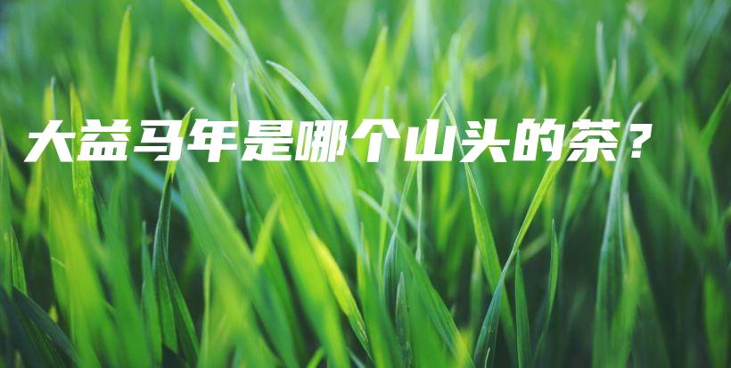大益馬年是哪個山頭的茶？插圖