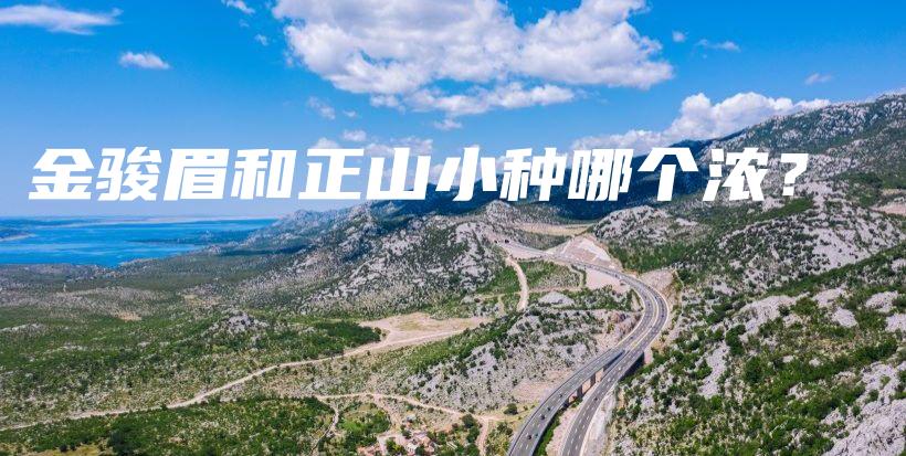 金駿眉和正山小種哪個(gè)濃？插圖