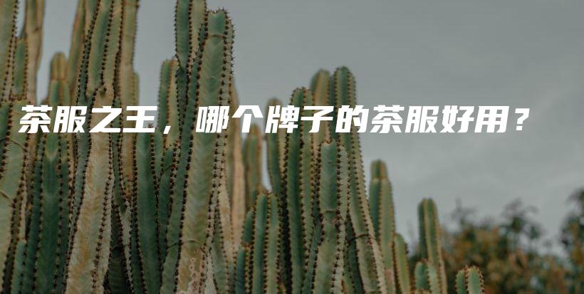 茶服之王，哪個(gè)牌子的茶服好用？插圖