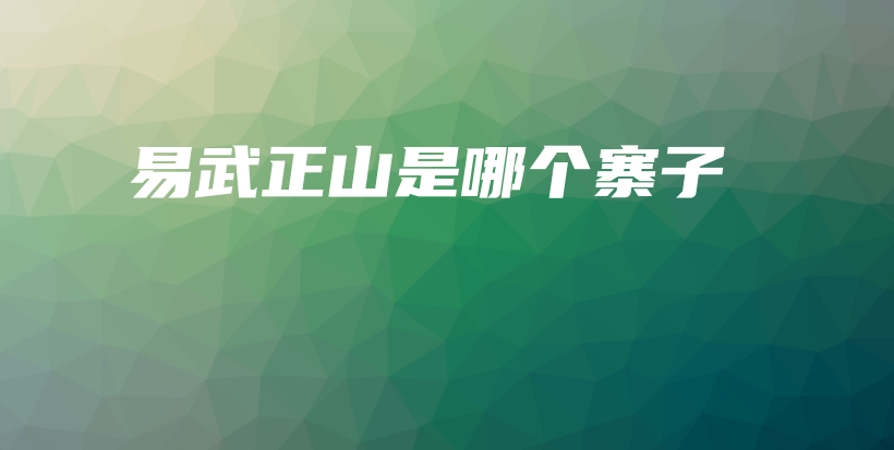 易武正山是哪個寨子插圖