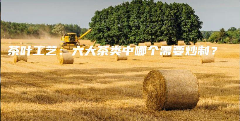 茶葉工藝：六大茶類中哪個需要炒制？插圖