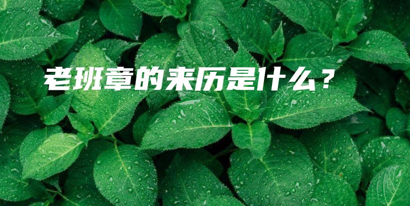 老班章的來歷是什么？插圖