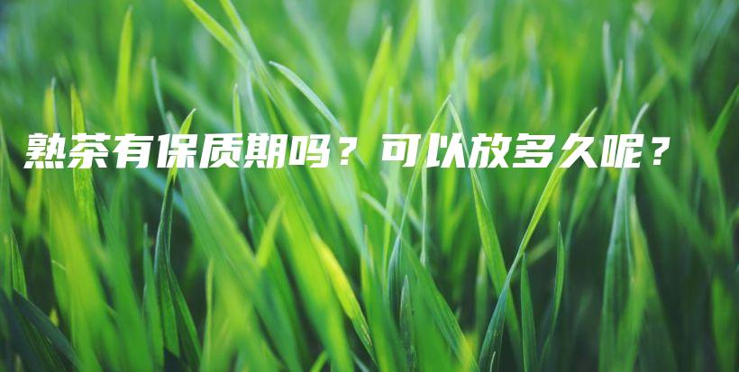 熟茶有保質(zhì)期嗎？可以放多久呢？插圖