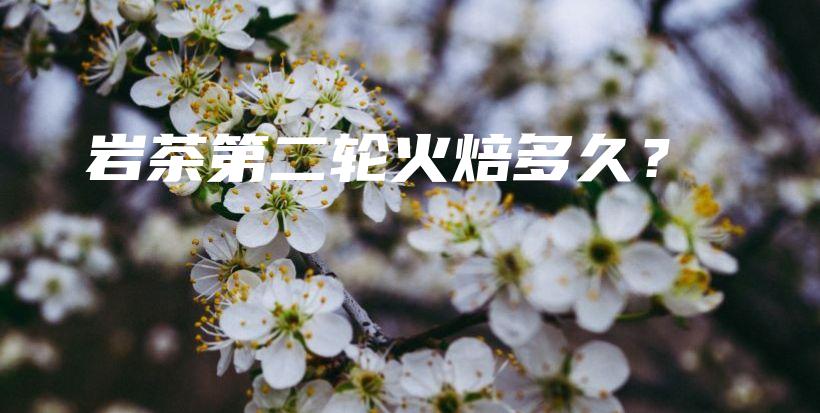 巖茶第二輪火焙多久？插圖