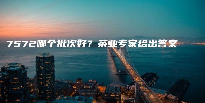 7572哪個批次好？茶業(yè)專家給出答案插圖