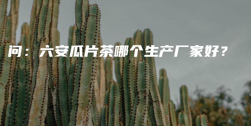 問：六安瓜片茶哪個生產(chǎn)廠家好？插圖