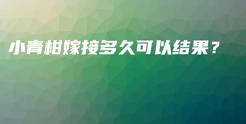 小青柑嫁接多久可以結果？插圖