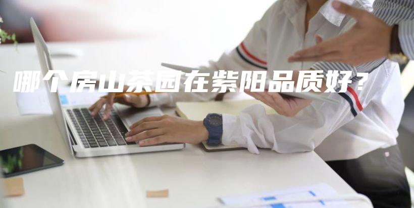 哪個房山茶園在紫陽品質(zhì)好？插圖