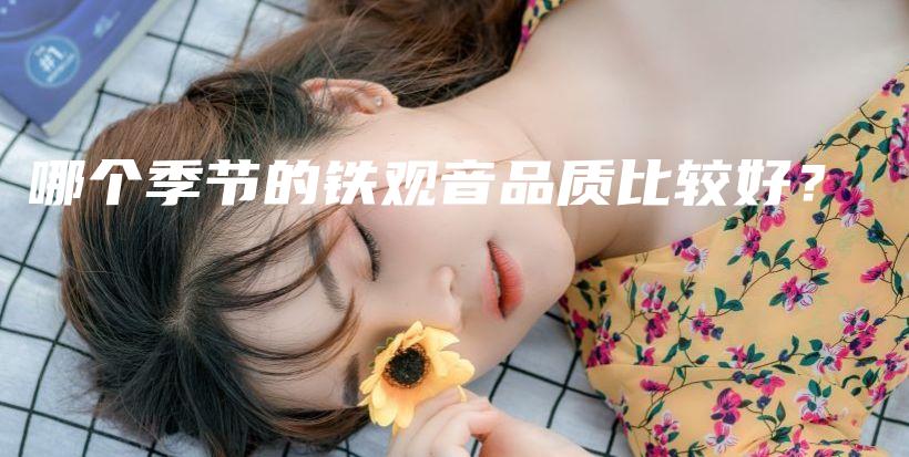 哪個(gè)季節(jié)的鐵觀音品質(zhì)比較好？插圖