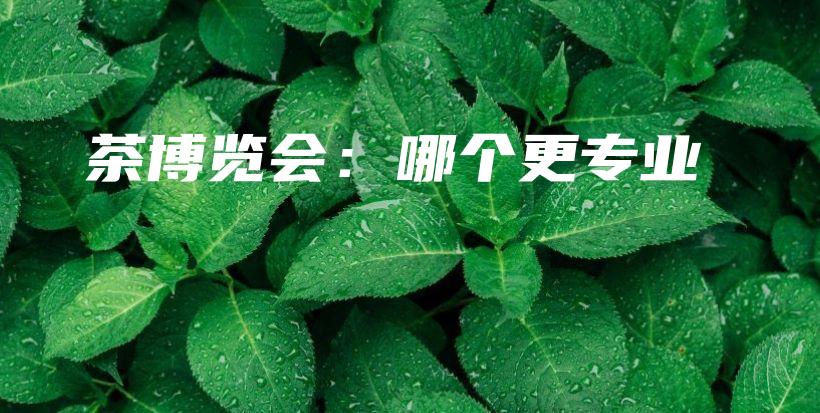 茶博覽會：哪個更專業(yè)插圖