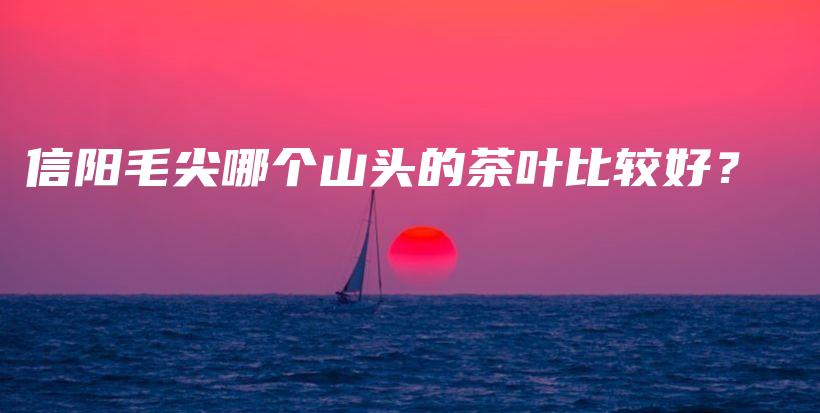 信陽(yáng)毛尖哪個(gè)山頭的茶葉比較好？插圖