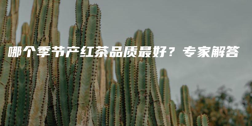 哪個季節(jié)產(chǎn)紅茶品質(zhì)最好？專家解答插圖