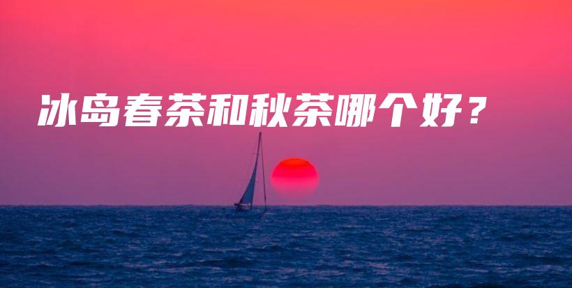 冰島春茶和秋茶哪個(gè)好？插圖