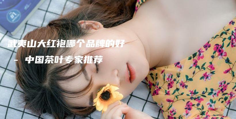 武夷山大紅袍哪個(gè)品牌的好 – 中國(guó)茶葉專家推薦插圖