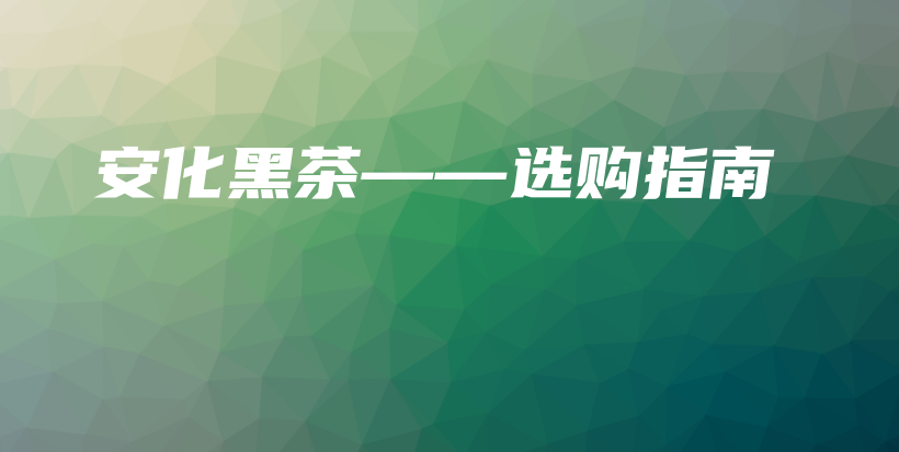安化黑茶——選購指南插圖