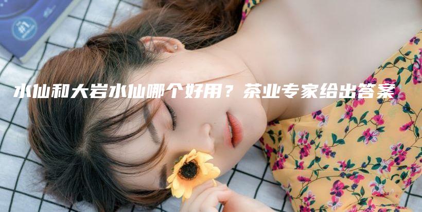 水仙和大巖水仙哪個好用？茶業(yè)專家給出答案插圖